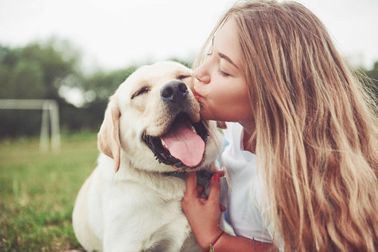 Non-Toxic Pet Wound Spray: Safe Healing for Your Furry Friends