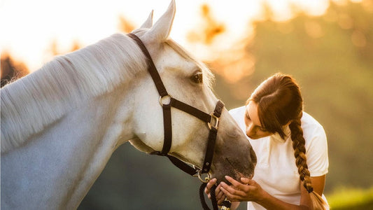 Natural Anti Itch Spray for Animals: Soothe Skin & Support Healing