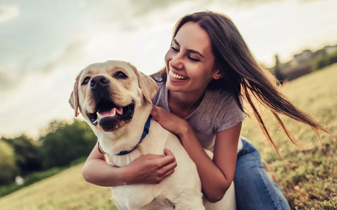 How to Accelerate Wound Healing Naturally in Animals