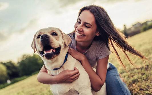 Promotes Faster Wound Healing